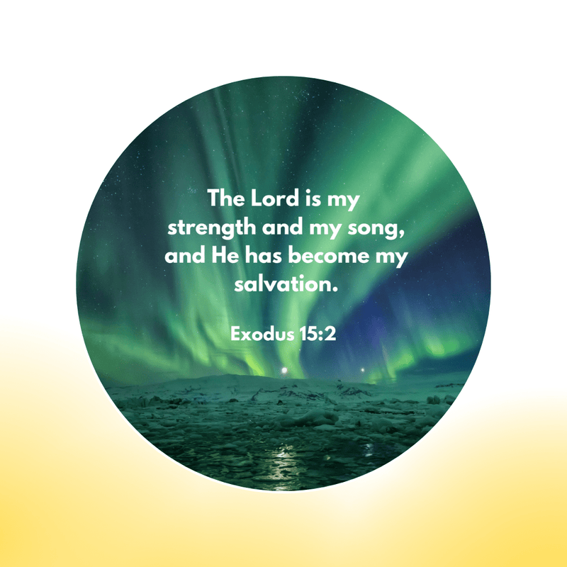 (GIFTING OFFER) Godisabove Bible Verse Projector (6 Free Scripture Discs Included)